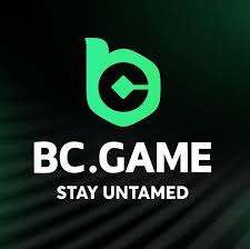 Official BC.Game Mobile App Overview -258891171